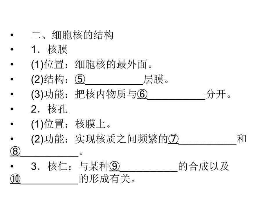 人教版教学课件11-12学年高一生物必修1(新人教版)同步课件：33 细胞核——系统的控制中心培训资料_第5页