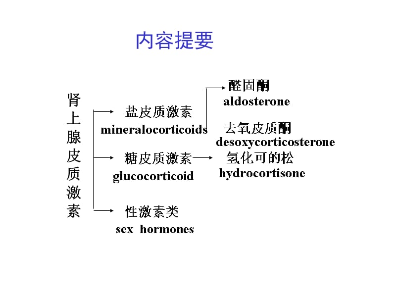 肾上腺皮质激素类药物(ww教学讲义_第1页