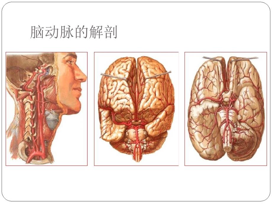 脑血管重建的药物治疗基础教材课程_第4页