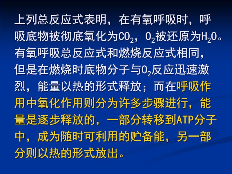 植物的呼吸作用教学材料_第5页