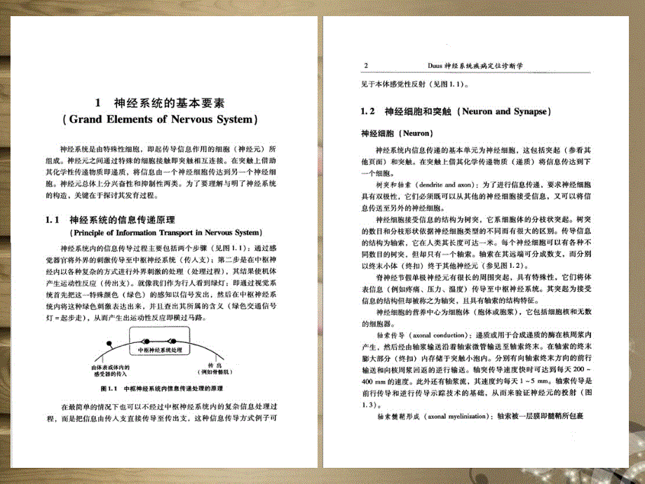 神经系统疾病定位诊断学教学讲义_第2页