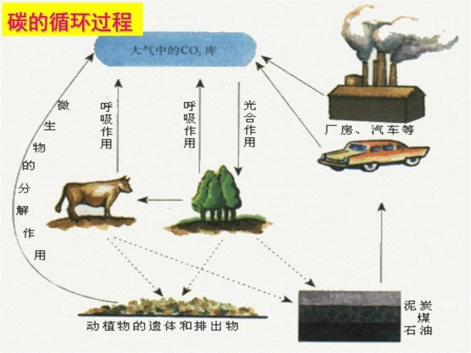 高州市四中学高二生物备章节组程章节勇资料教程_第5页