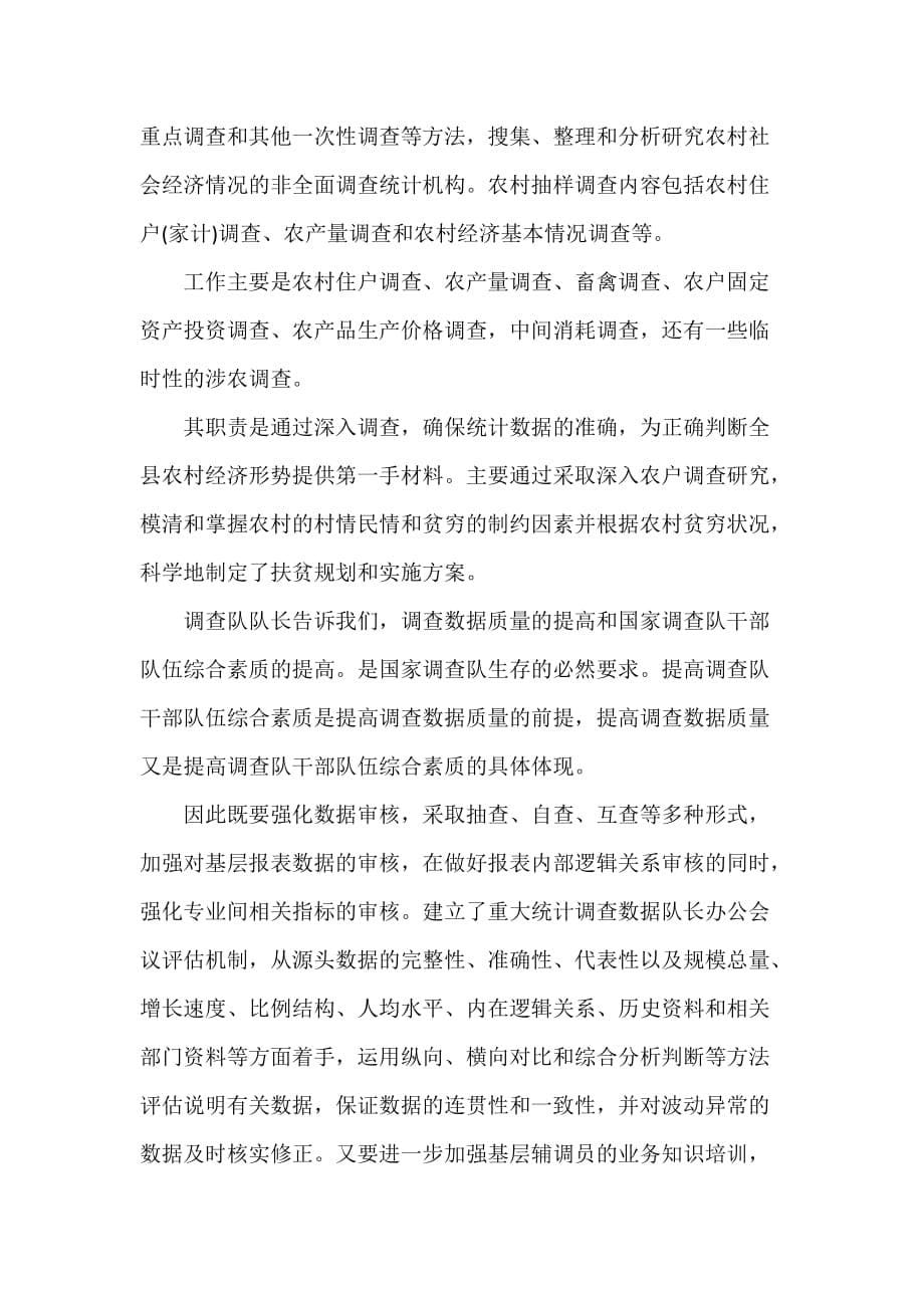 一个月统计局实习工作总结（可编辑范文）_第5页