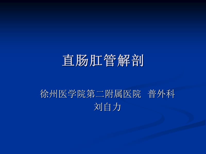 直肠肛管解剖及检查培训资料_第1页