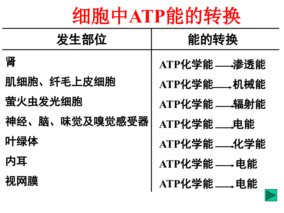第二节新陈代谢与ATP幻灯片资料_第4页
