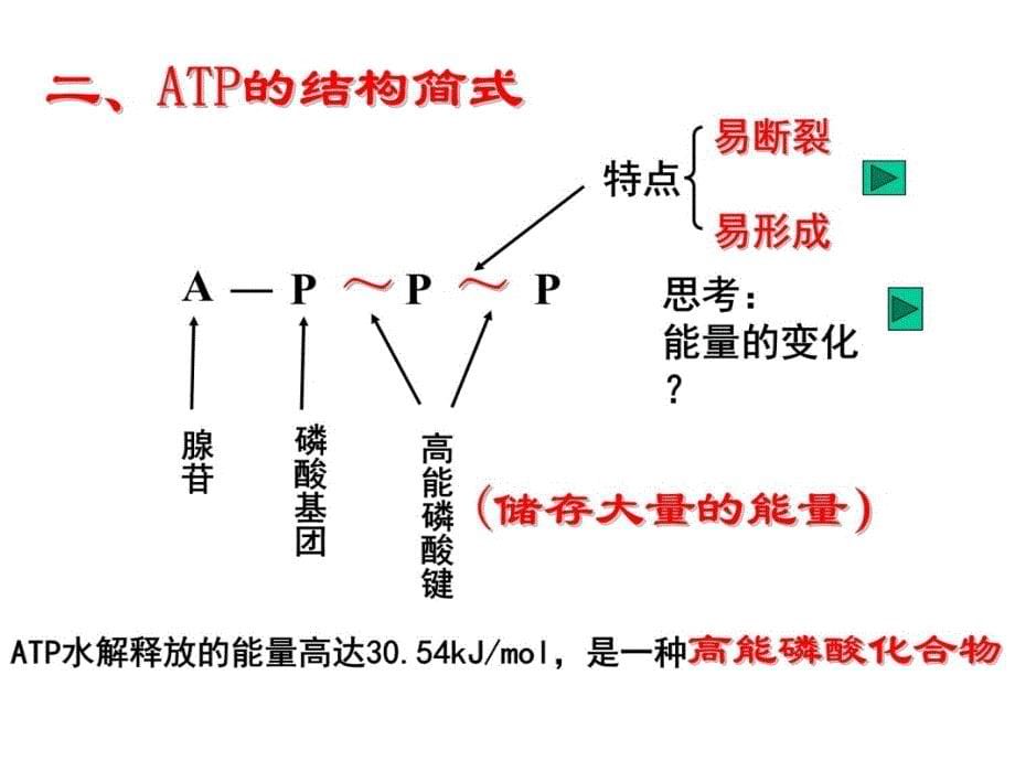 第二节新陈代谢与ATP幻灯片资料_第5页