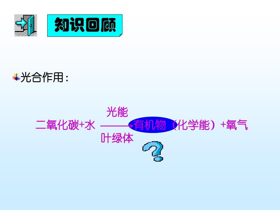 绿色植物对有机物利用培训讲学_第2页