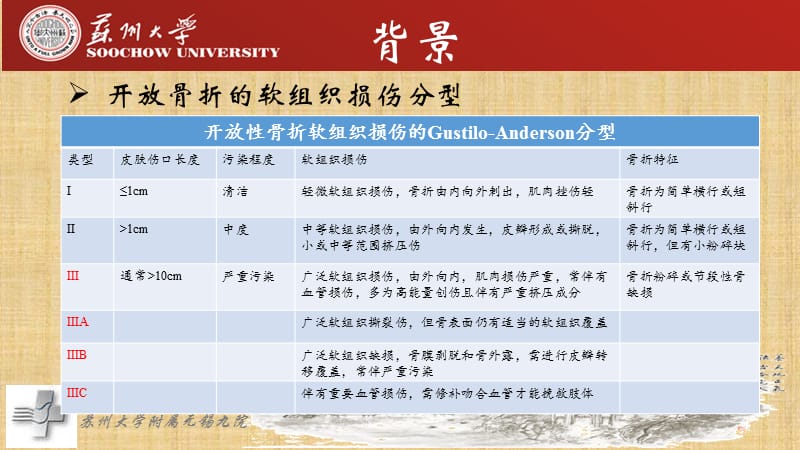 接骨板一期固定ⅲa型尺桡骨开放性骨折课件_第2页