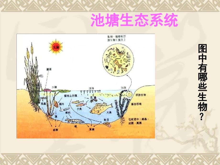 第三章生物群落的演替资料教程_第2页