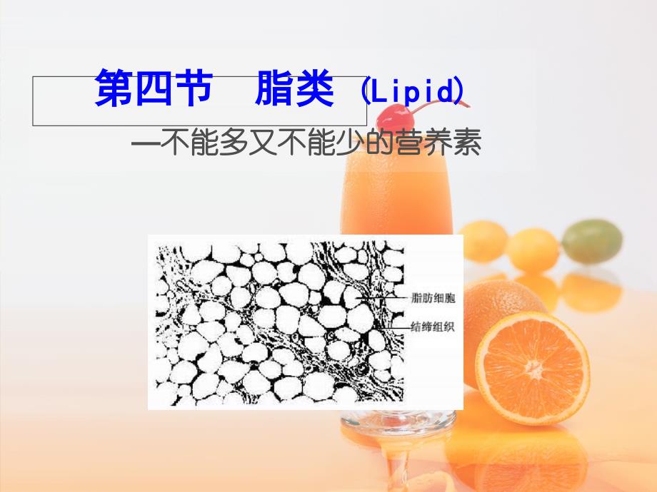 营养素2-脂肪、糖类资料教程_第1页