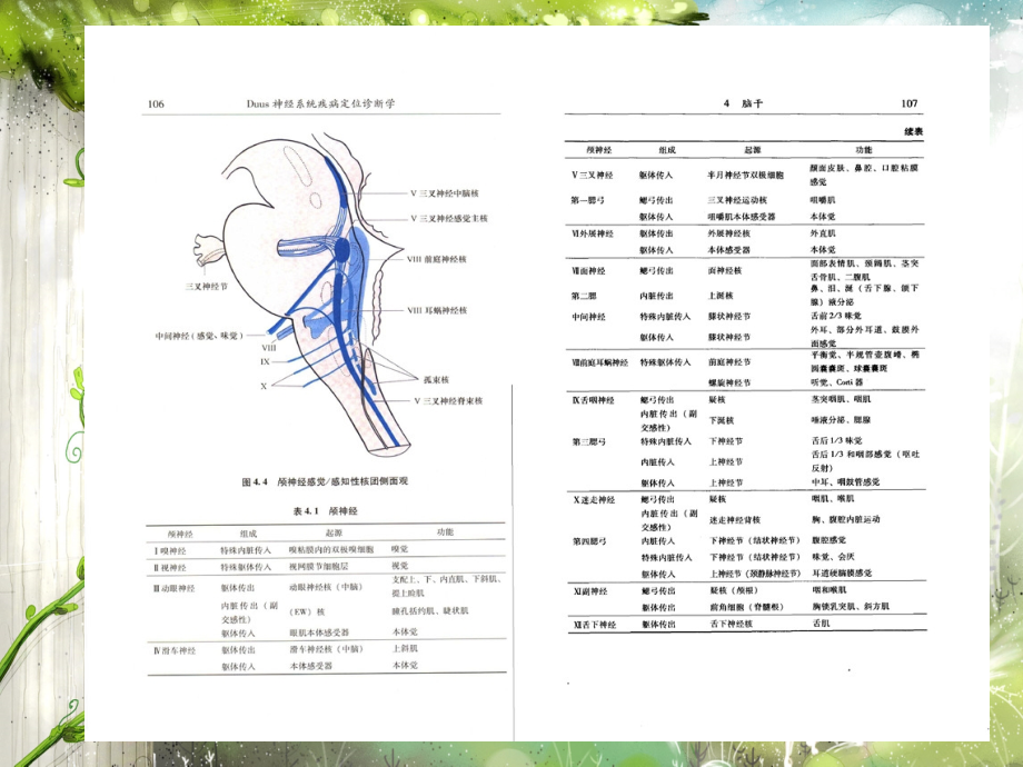 神经系统疾病定位诊断学04研究报告_第4页