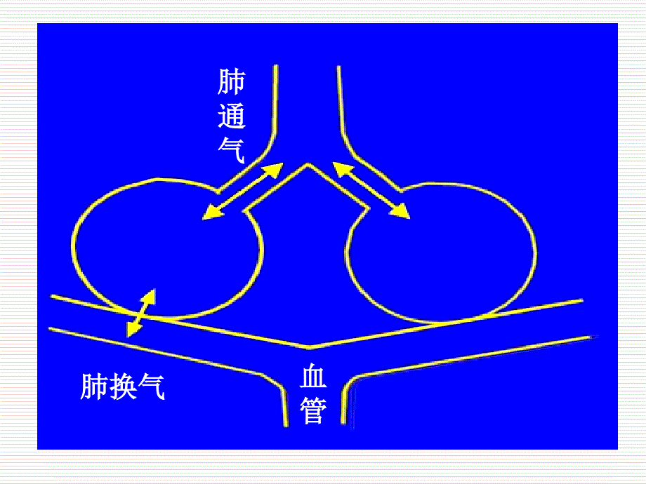 第十四部分呼吸功能不全respiratoryinsufficiency教学课件研究报告_第4页