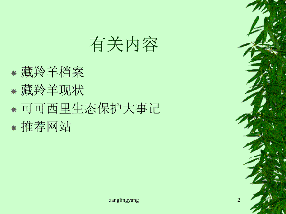 草原上的精灵脏羚羊教材课程_第2页