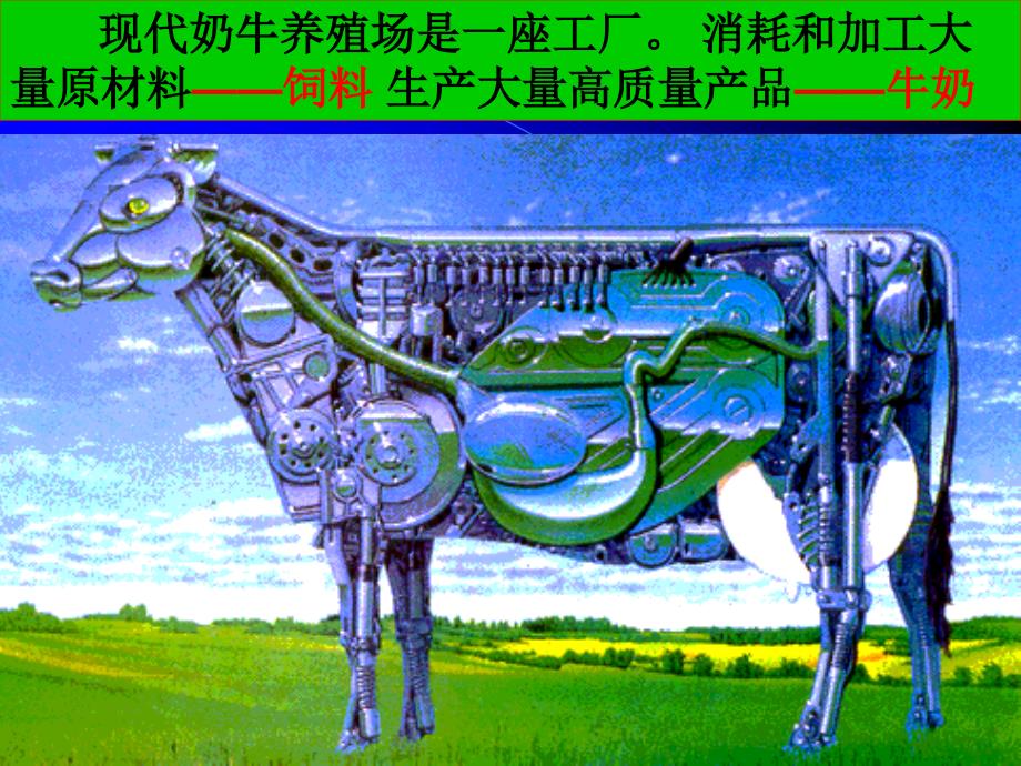 现代化奶牛场奶牛养殖新技术定_第3页
