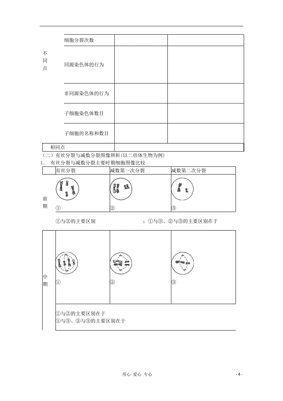 2013届高考生物起点一轮复习 第五单元 遗传的细胞基础--减数分裂和受精作用学案.doc_第4页