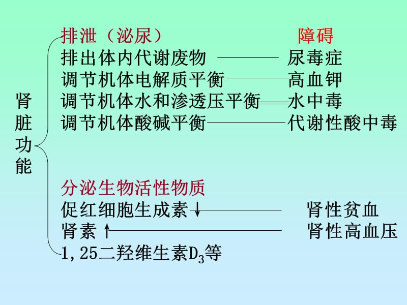 肾的排泄功能XMY资料教程_第3页