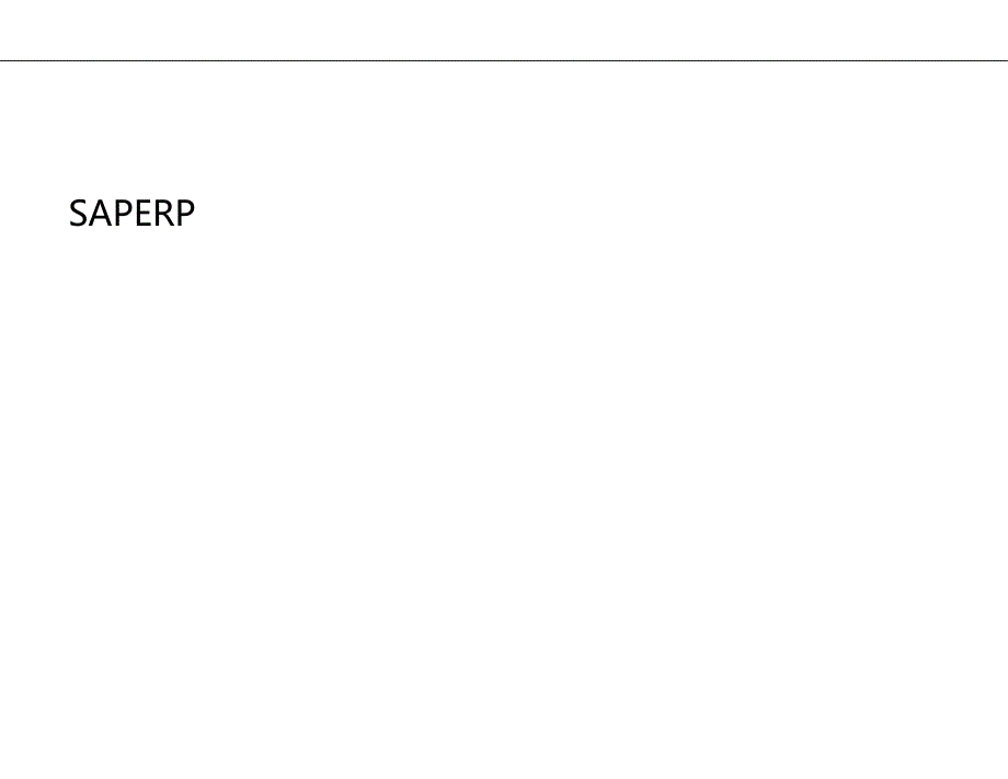 （ERPMRP管理)SAPERPHCM人力资本管理可视化再现._第2页