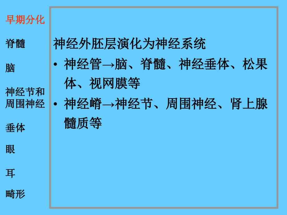 神经系统和眼耳的发生培训教材_第2页