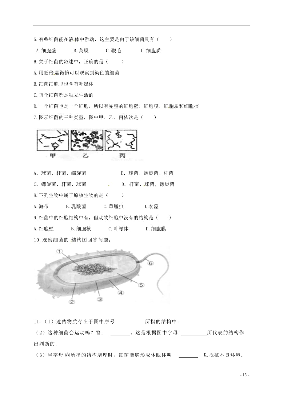 内蒙古鄂尔多斯市东胜区第二中学八年级生物上册5.4.2细菌导学案（无答案）新人教版_第3页