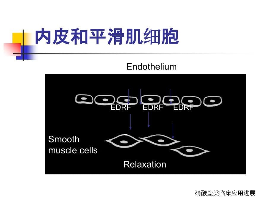 2018年硝酸盐类临床应用进展课件资料_第5页