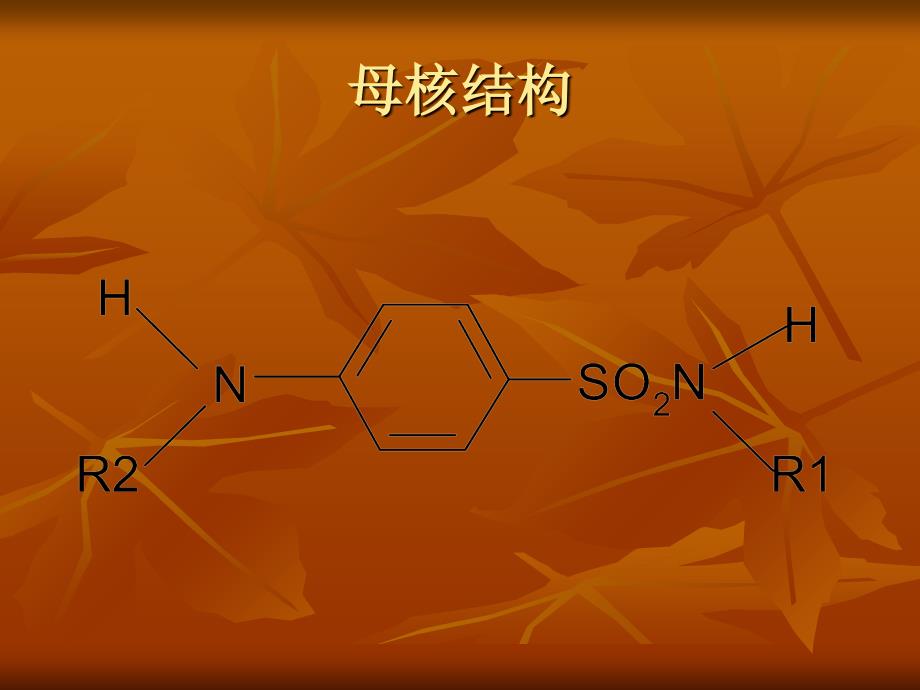 2013执业兽医资格考试药理学第三十一章-人工合成抗生素_第3页