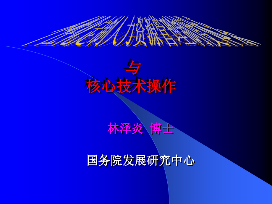 202X年个性化定制人力资源管理体系与核心技术操作_第1页