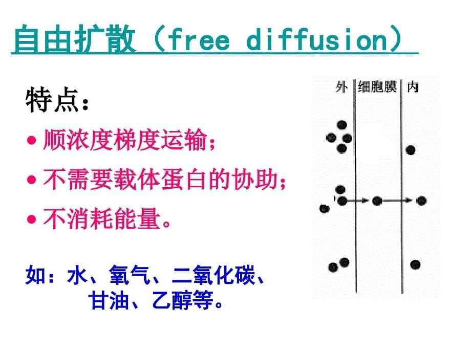 4.3物质跨膜运输方式(新)讲课资料_第5页