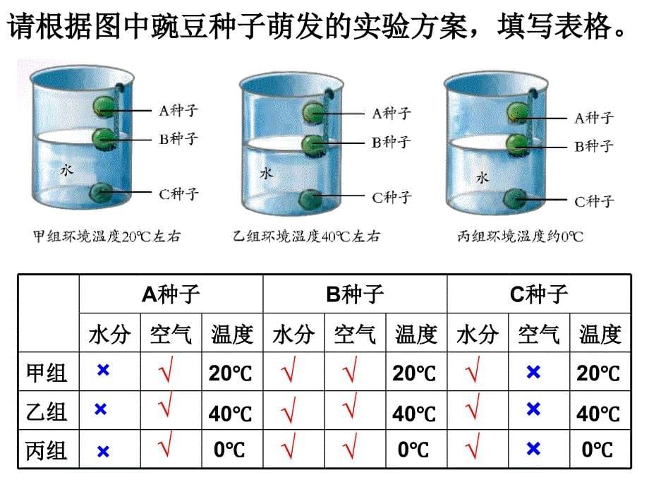 浙教版科学七年级下册-1.4-植物的一生-课件2_第5页