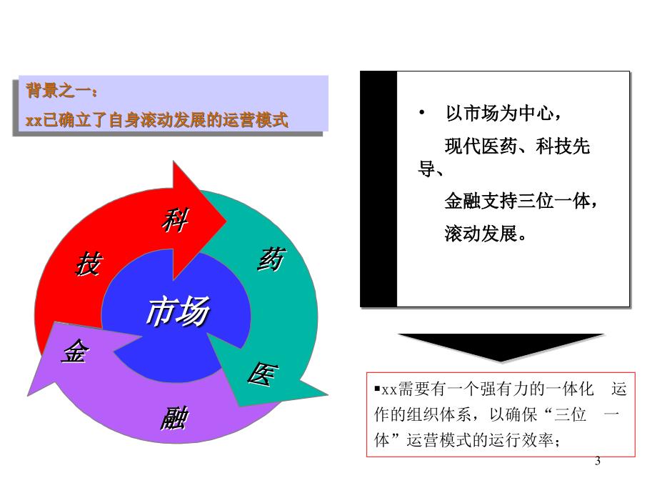 《精编》药业集团组织发展战略规划_第3页