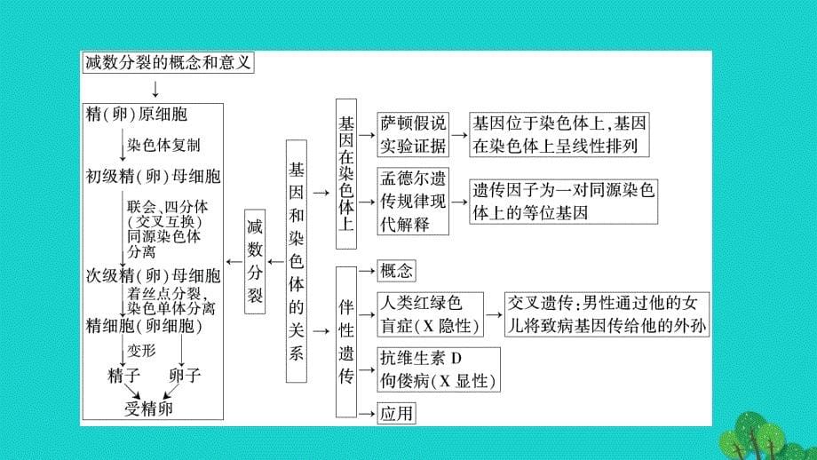 2017-2018学年高中生物 第2章 基因和染色体的关系归纳整合课件 新人教版必修2_第5页