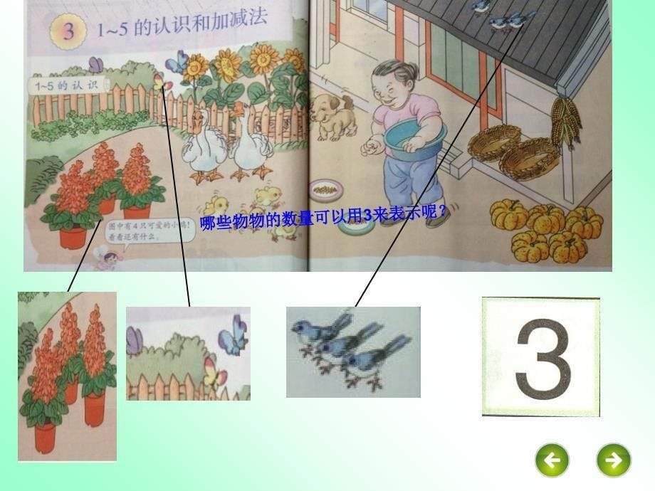 2012版小学数学1―5的认识课件_第5页