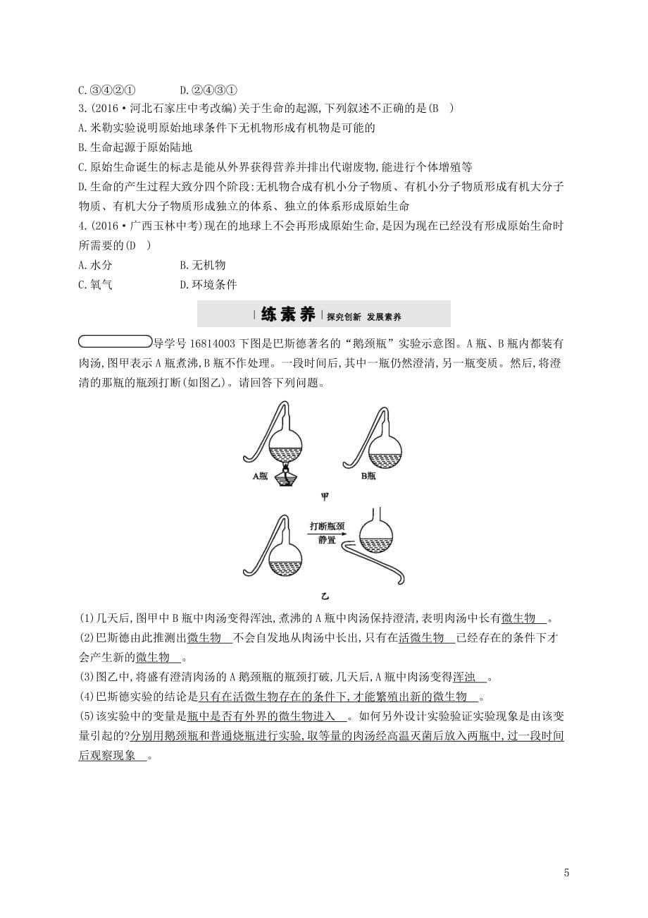 八年级生物下册5.1.1生命的起源精练（新）济南_第5页