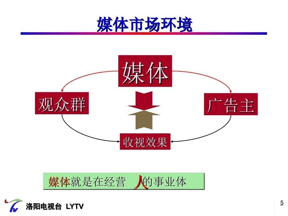 《精编》观众营销与运用_第5页