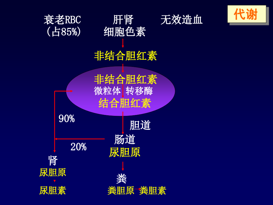 黄疸的鉴别诊断及处理Differentialdiagnosisandtreatmentof_第4页