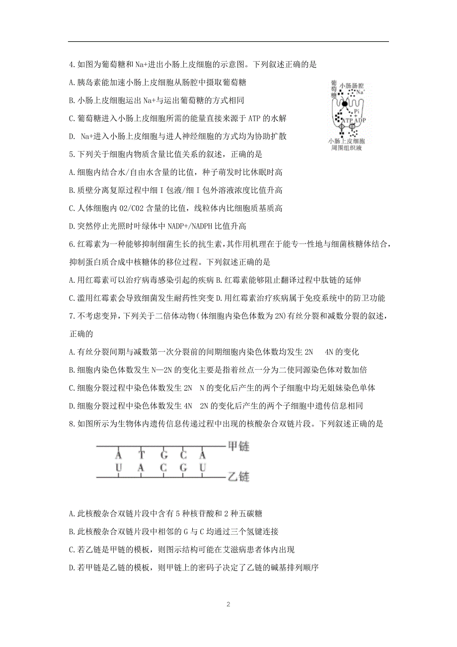 湖南省天壹名校联盟2020届高三生物月大联考试题_第2页