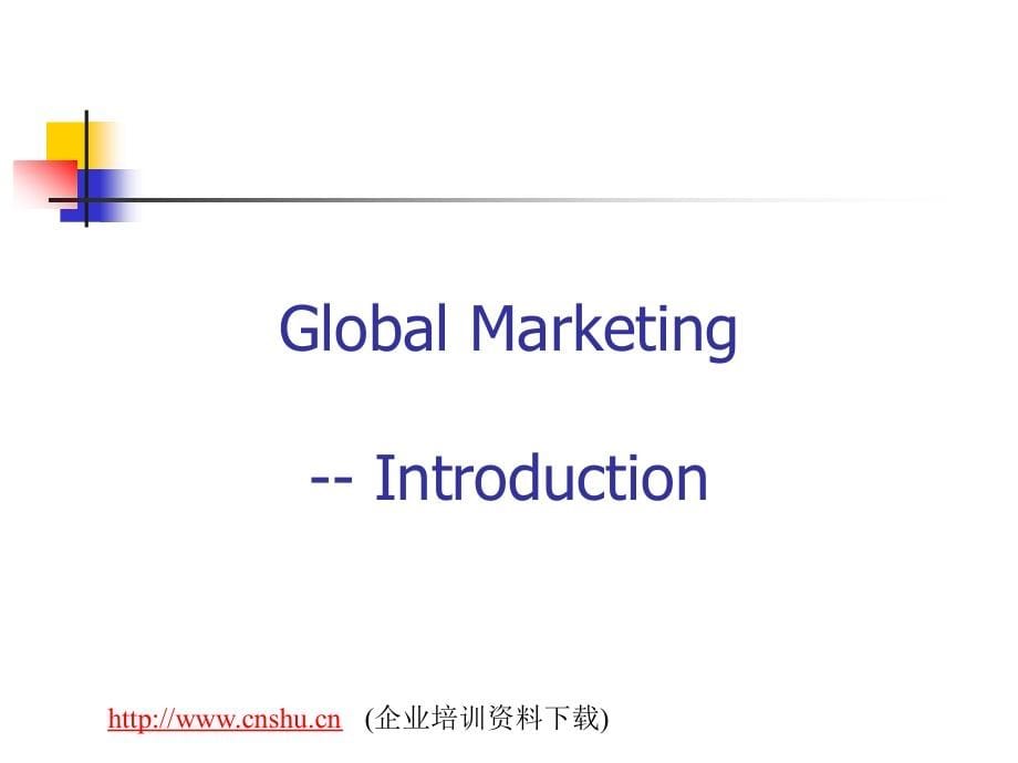 202X年Global Marketing_第5页