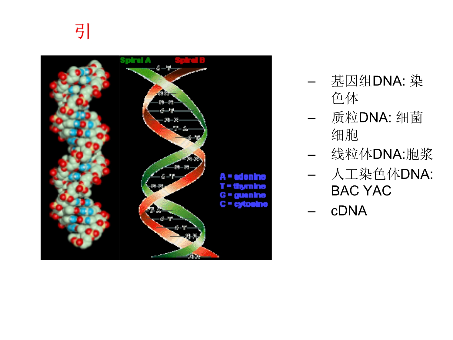 DNA测序仪的原理及应用_第3页