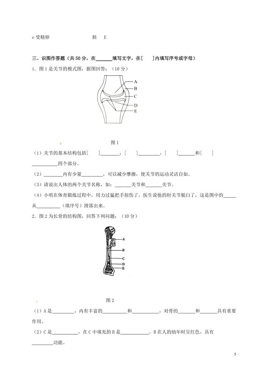 北京市房山区张坊中学等部分学校八年级生物上学期期中联考试题新人教版_第5页