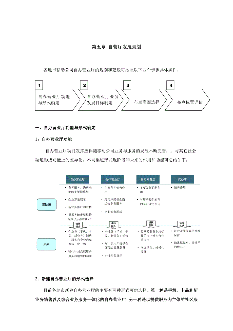 《精编》自营厅发展规划_第1页