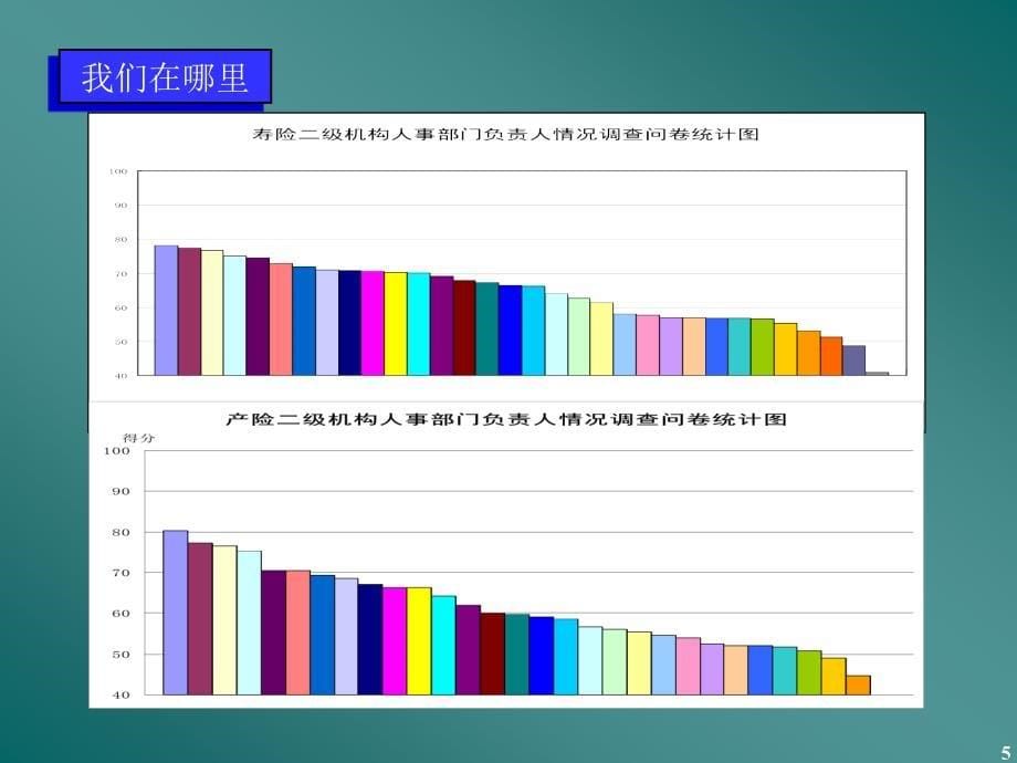 202X年某公司人力资源管理战略探讨_第5页