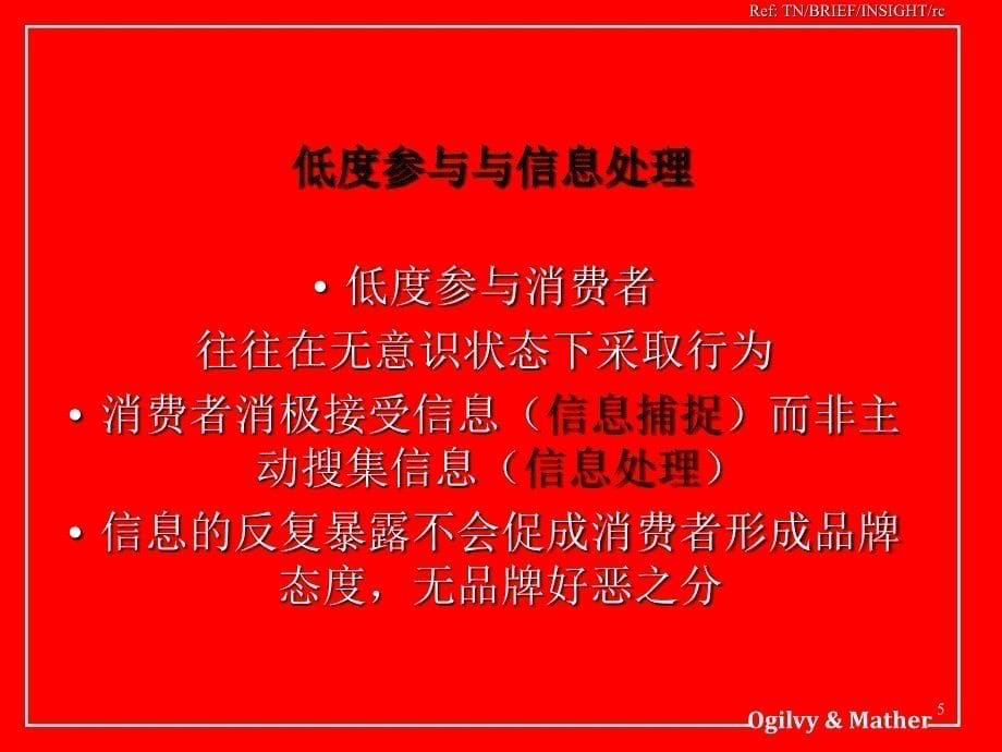 202X年消费者决策和广告策略概述_第5页