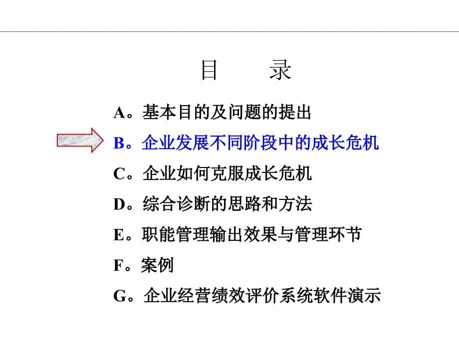 202X年企业咨询综合诊断系统_第5页