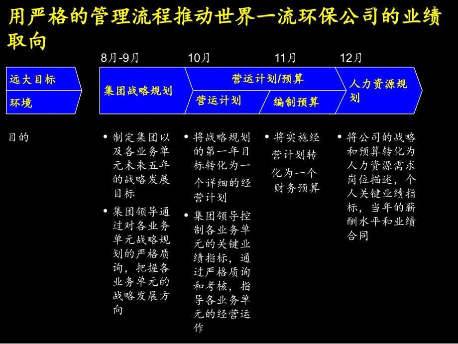 202X年某集团一体化年度规划流程_第5页