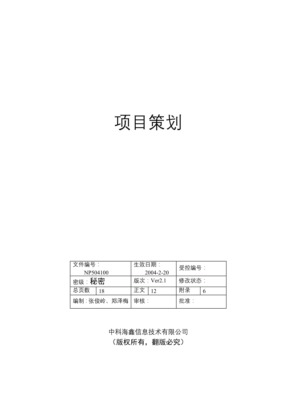 《精编》信息技术有限公司项目策划_第1页