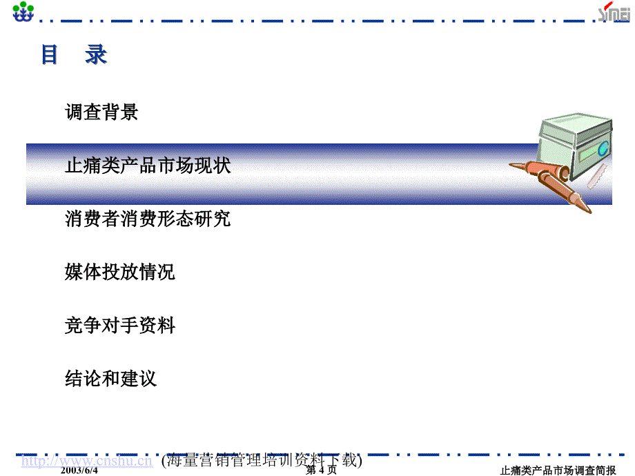 202X年止痛类产品市场调查报告_第4页