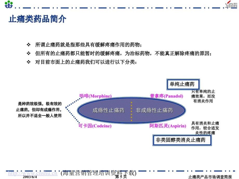 202X年止痛类产品市场调查报告_第5页