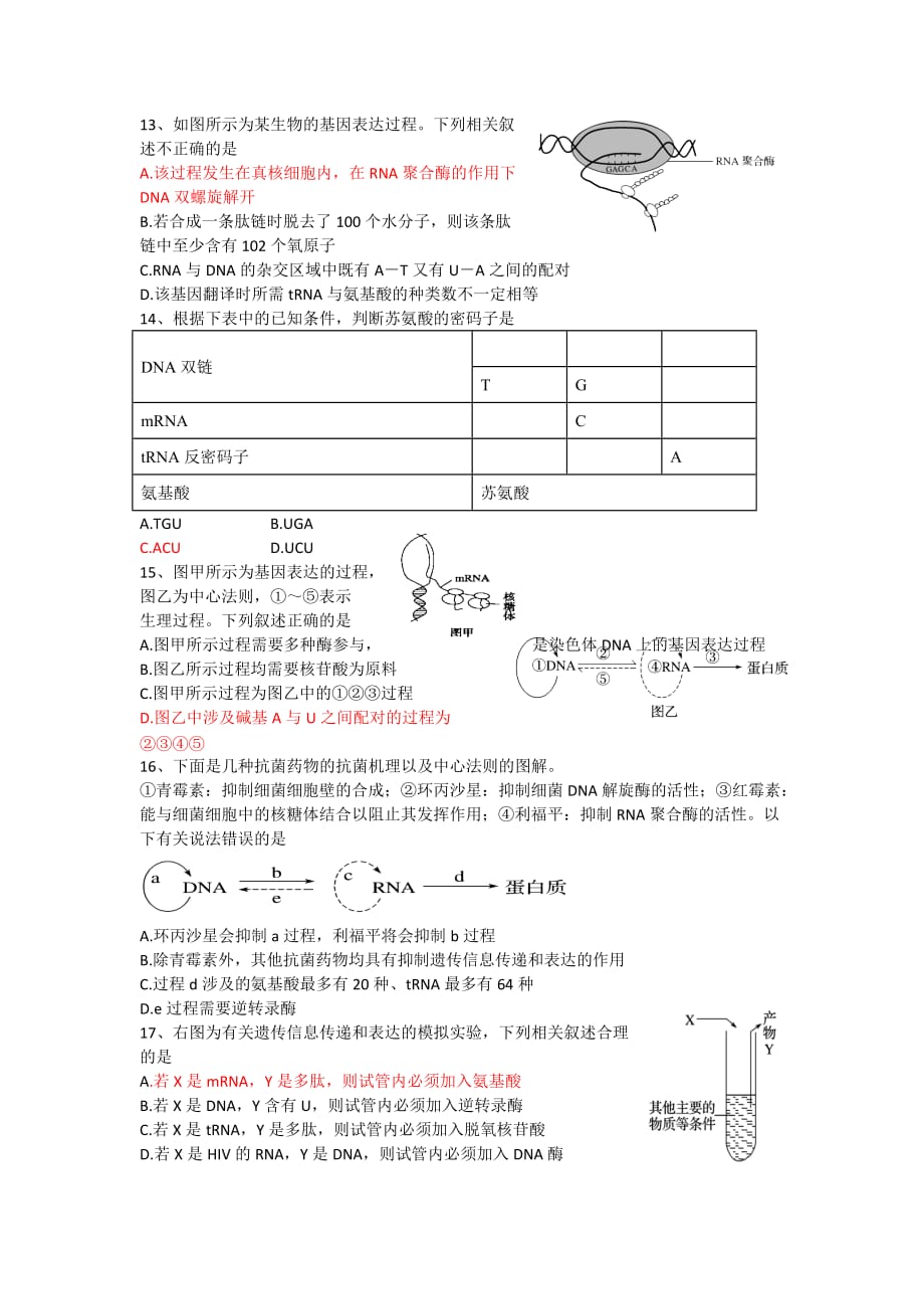 DNA复制、结构与基因表达练习_第3页