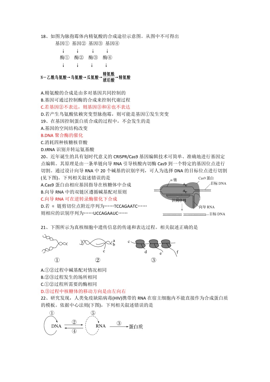 DNA复制、结构与基因表达练习_第4页