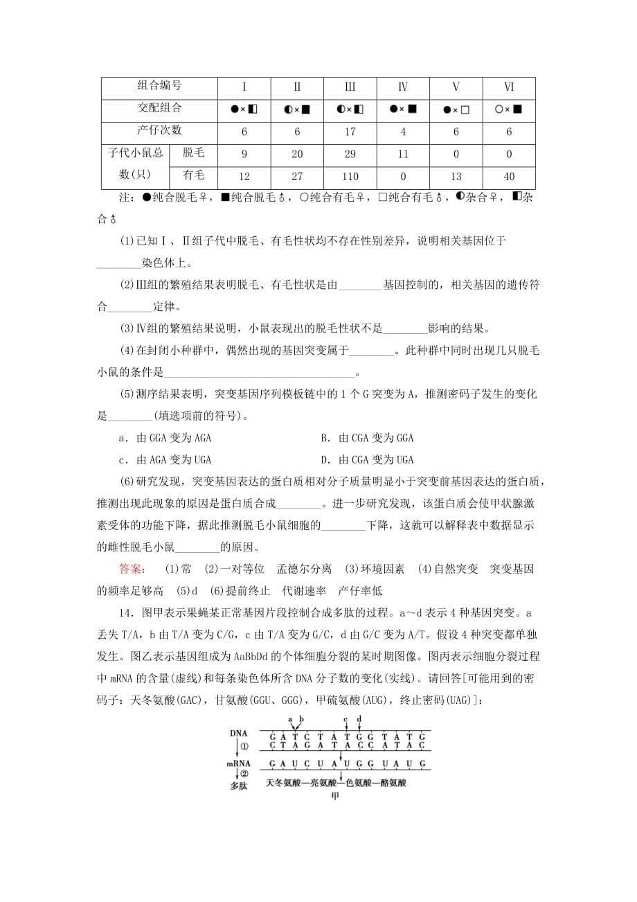 (人教版)高中生物必修二：5.1《基因突变和基因重组》同步练习(含答案)_第5页