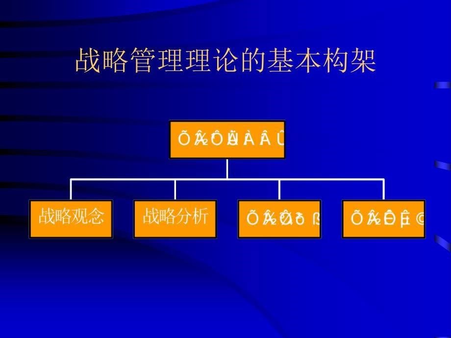 《精编》企业战略管理的分析_第5页